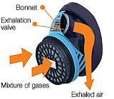 Double bonnet structure