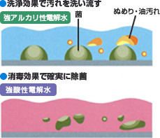 強酸性電解水の殺菌効果