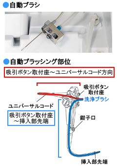 自動ブラッシング部位